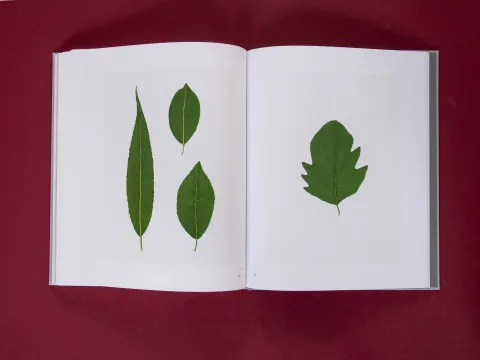 am_weg_hans-christian-schink_251010__37