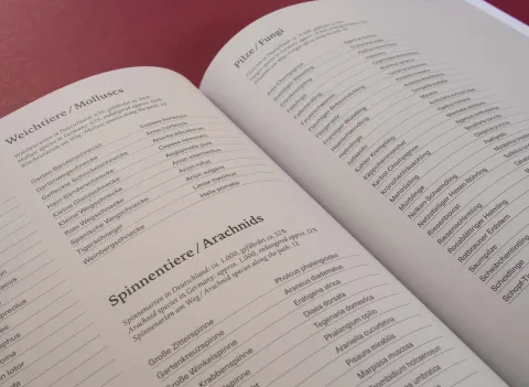 am_weg_hans-christian-schink_251010__41