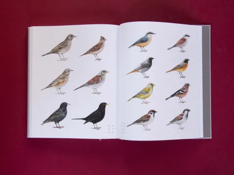 am_weg_hans-christian-schink_251010__4