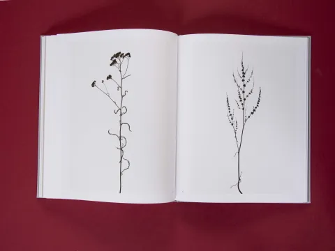 am_weg_hans-christian-schink_251010__33