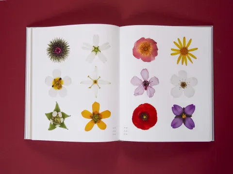 am_weg_hans-christian-schink_251010__27