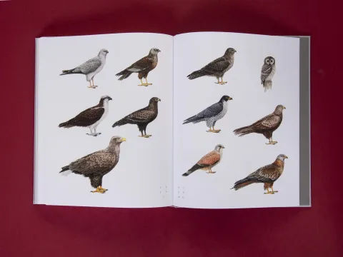 am_weg_hans-christian-schink_251010__40