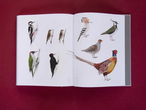 am_weg_hans-christian-schink_251010__2