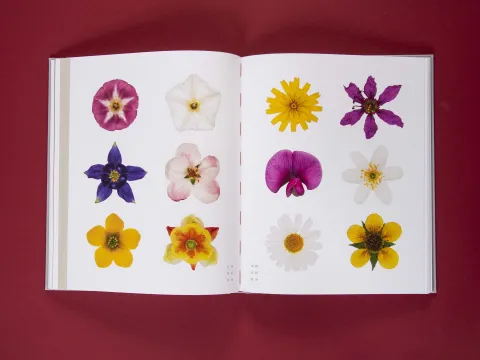 am_weg_hans-christian-schink_251010__25