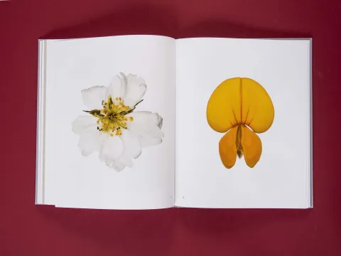 am_weg_hans-christian-schink_251010__28