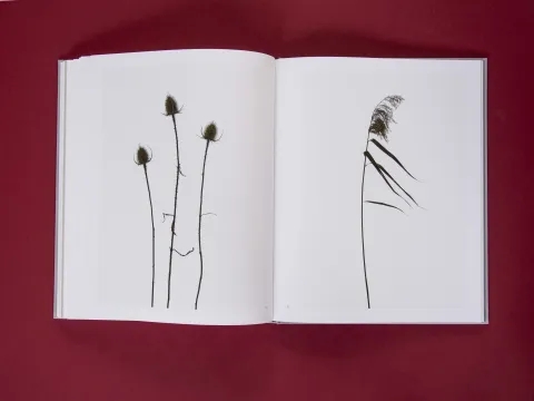 am_weg_hans-christian-schink_251010__34