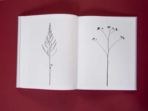 am_weg_hans-christian-schink_251010__31