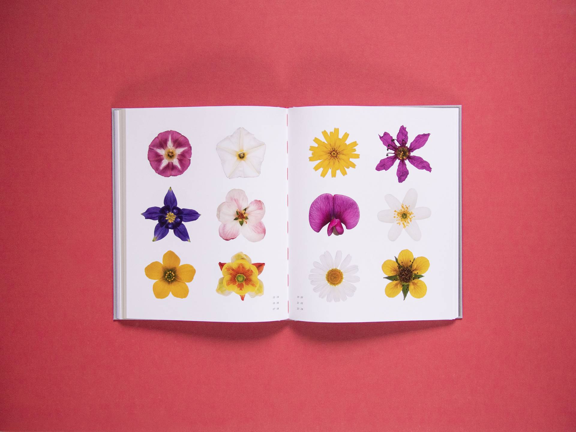 aufmacherseite_blumen-heller