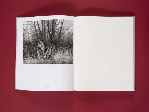 am_weg_hans-christian-schink_251010__18