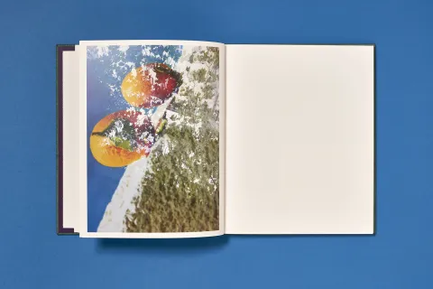 backhaus_jessi-once_still-forever_08