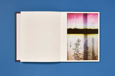 backhaus_jessi-once_still-forever_04