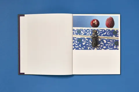 backhaus_jessi-once_still-forever_05