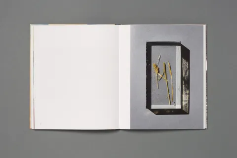 backhaus_jessi_six_degrees_of_freedom10