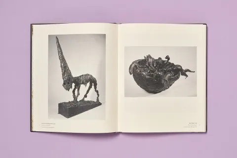 barcelo_michel_kunstforum_wien_06