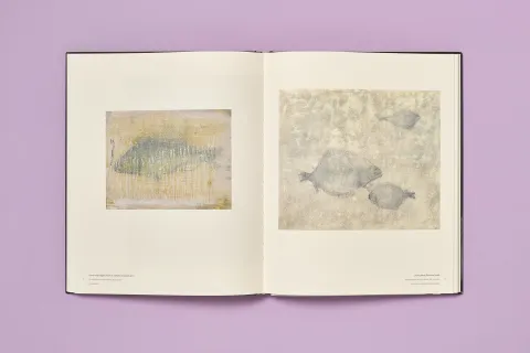 barcelo_michel_kunstforum_wien_08