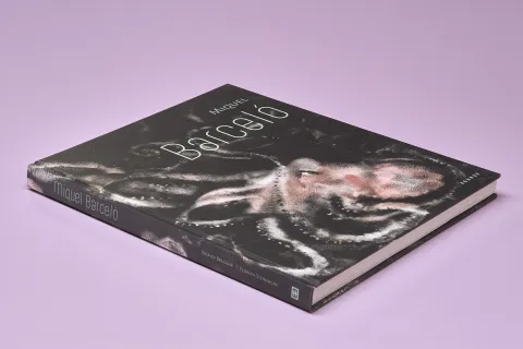 barcelo_michel_kunstforum_wien_14