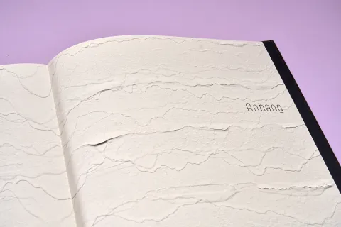 barcelo_michel_kunstforum_wien_15