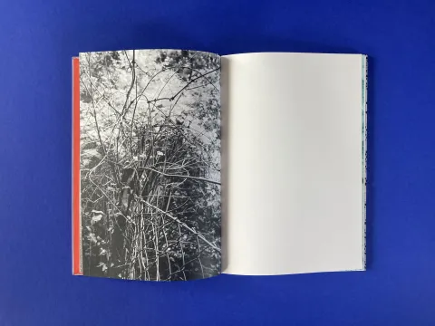 die_zone_der_behaglichkeit_caro_lenhart_01