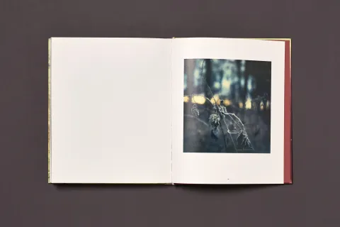 froehlich_simon-wald_15