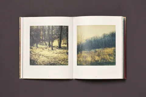 froehlich_simon-wald_11