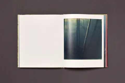 froehlich_simon-wald_13