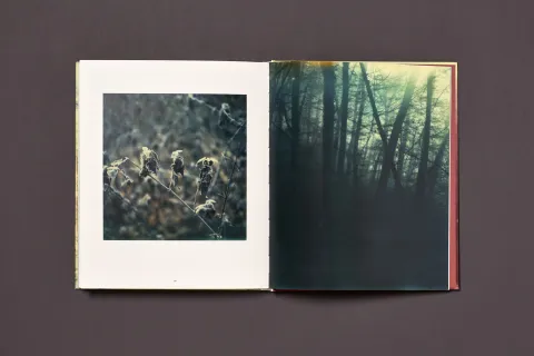 froehlich_simon-wald_14