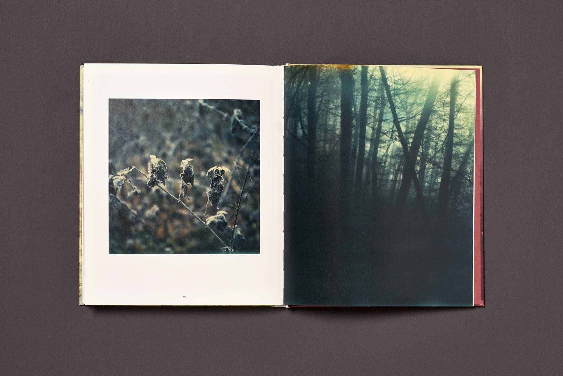 froehlich_simon-wald_14