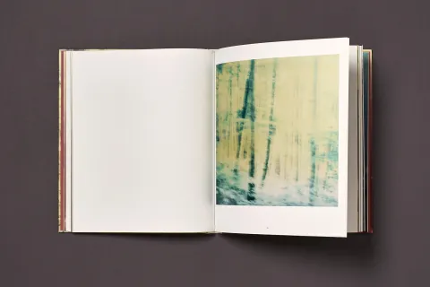 froehlich_simon-wald_08