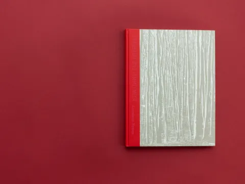 graubaum_und_himmelmeer_loredana_nemes__24