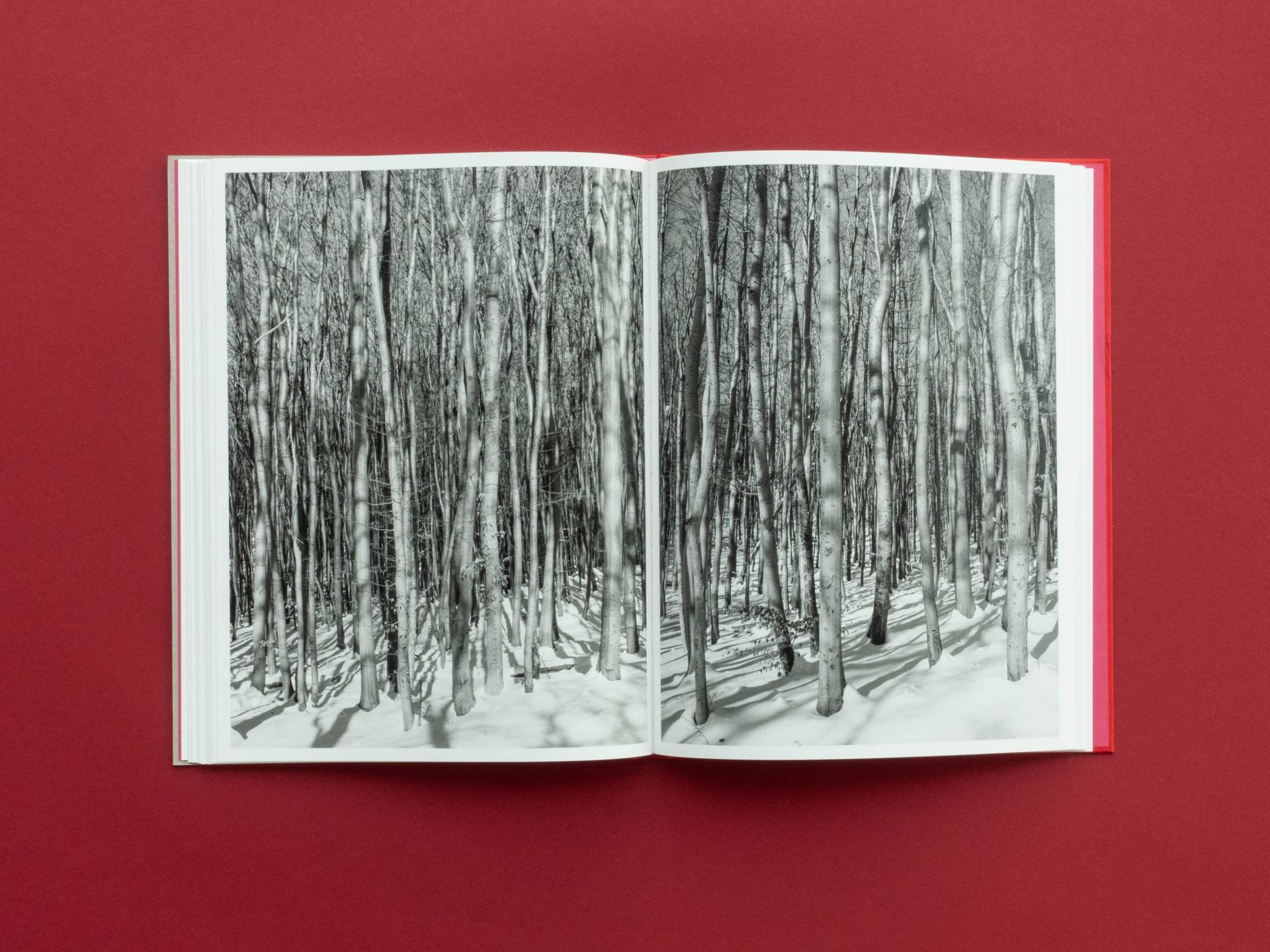 graubaum_und_himmelmeer_loredana_nemes__15