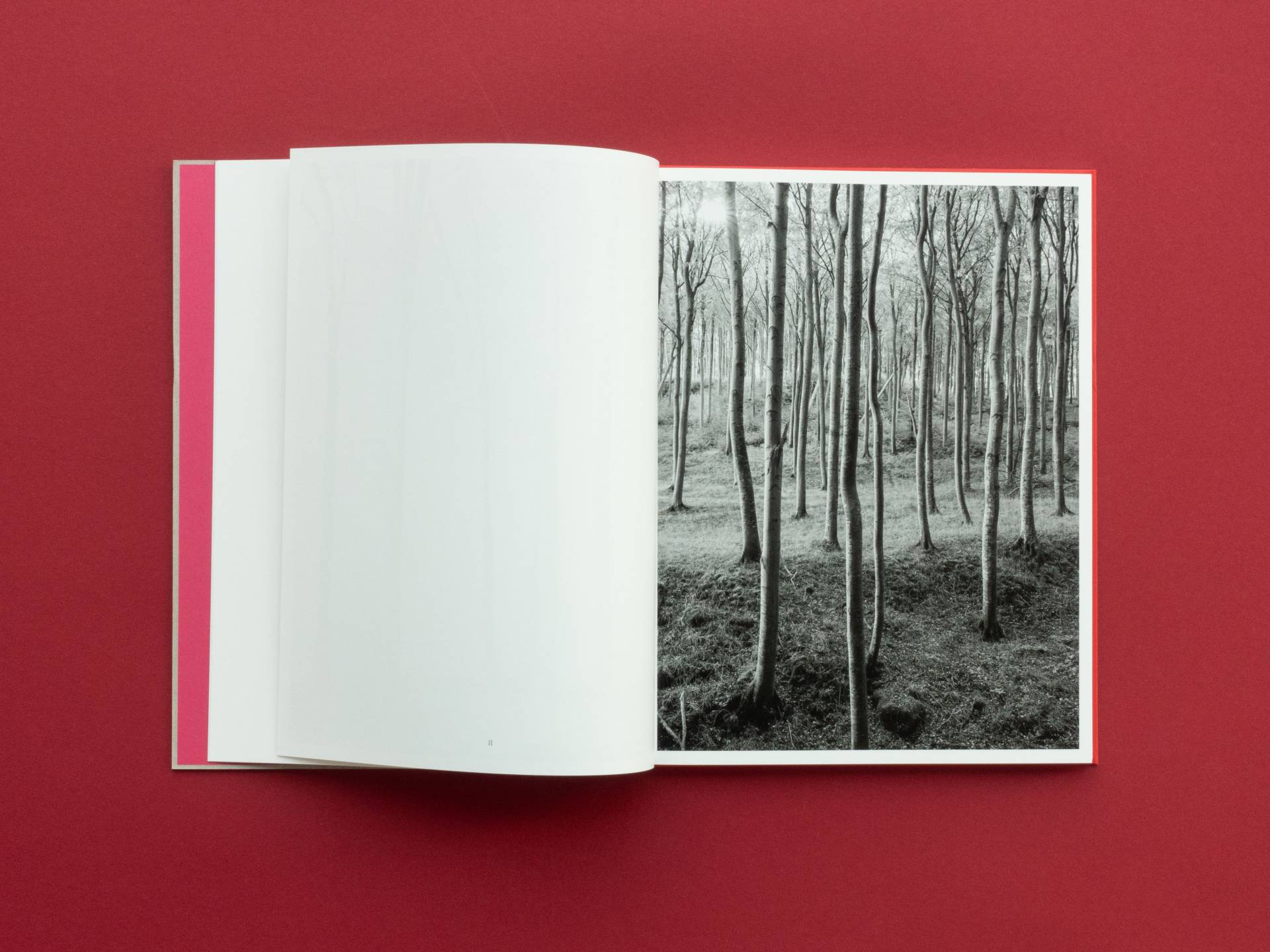 graubaum_und_himmelmeer_loredana_nemes__4