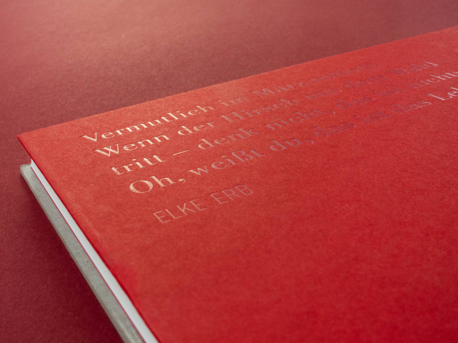 graubaum_und_himmelmeer_loredana_nemes__30