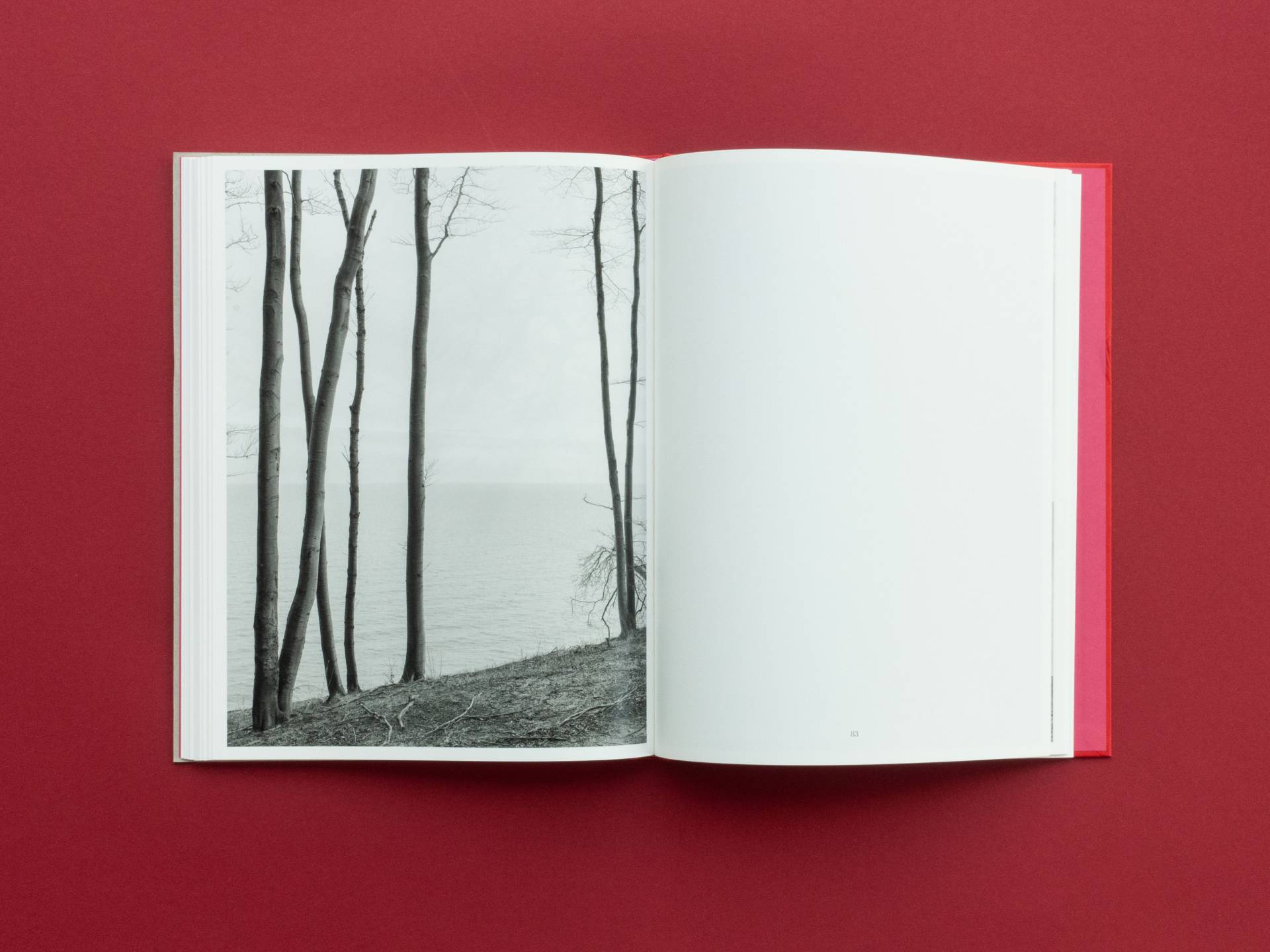 graubaum_und_himmelmeer_loredana_nemes__17