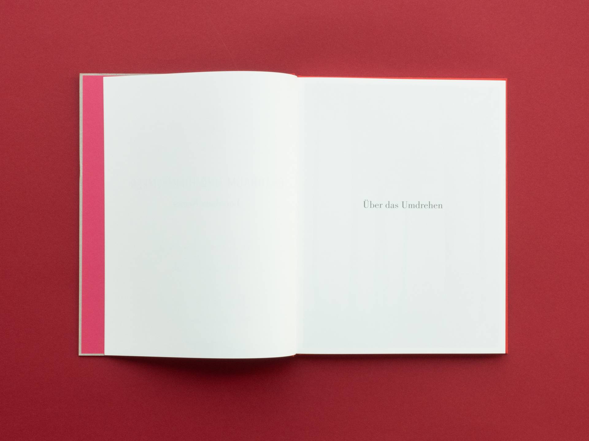 graubaum_und_himmelmeer_loredana_nemes__2