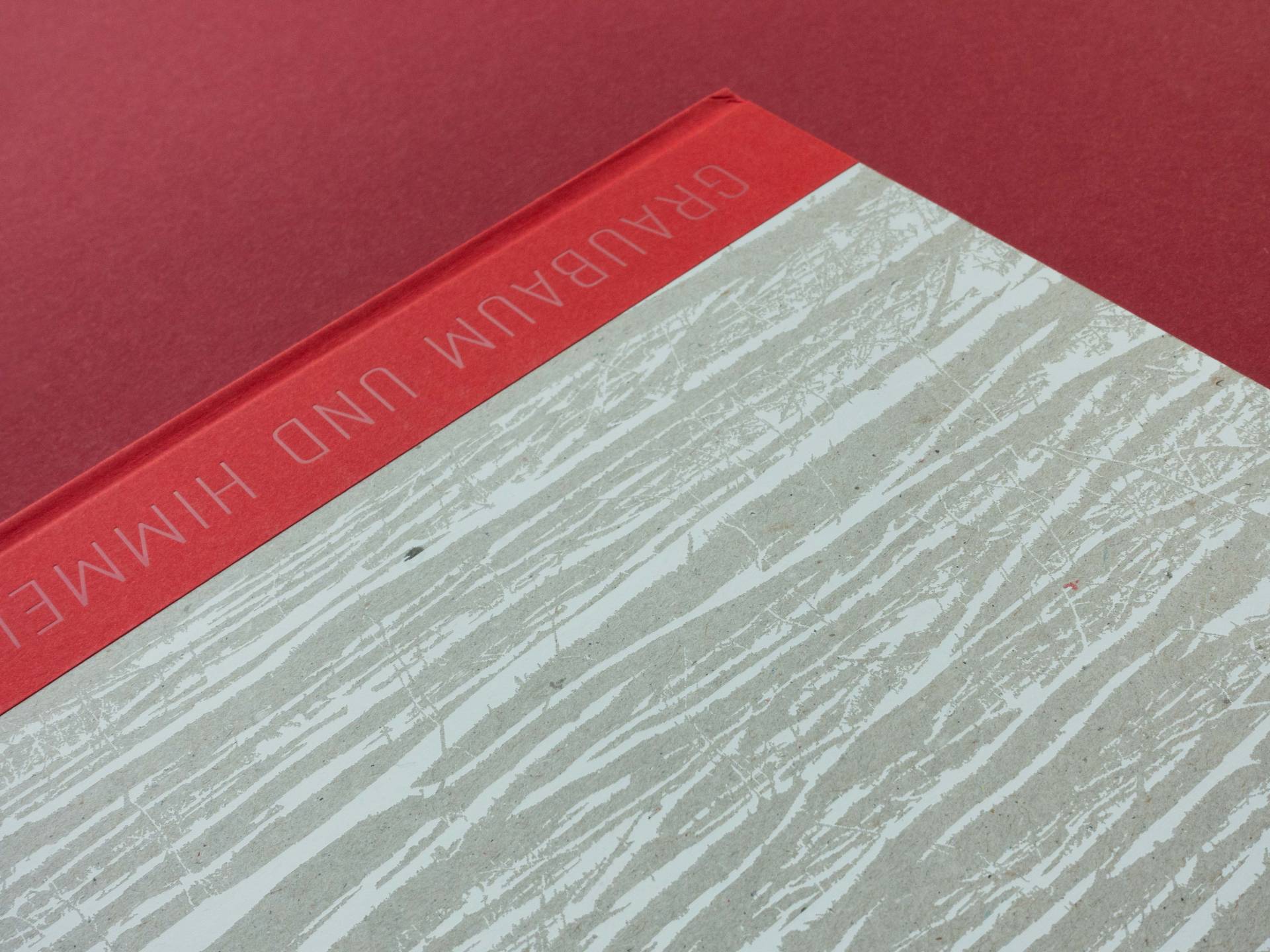 graubaum_und_himmelmeer_loredana_nemes__43