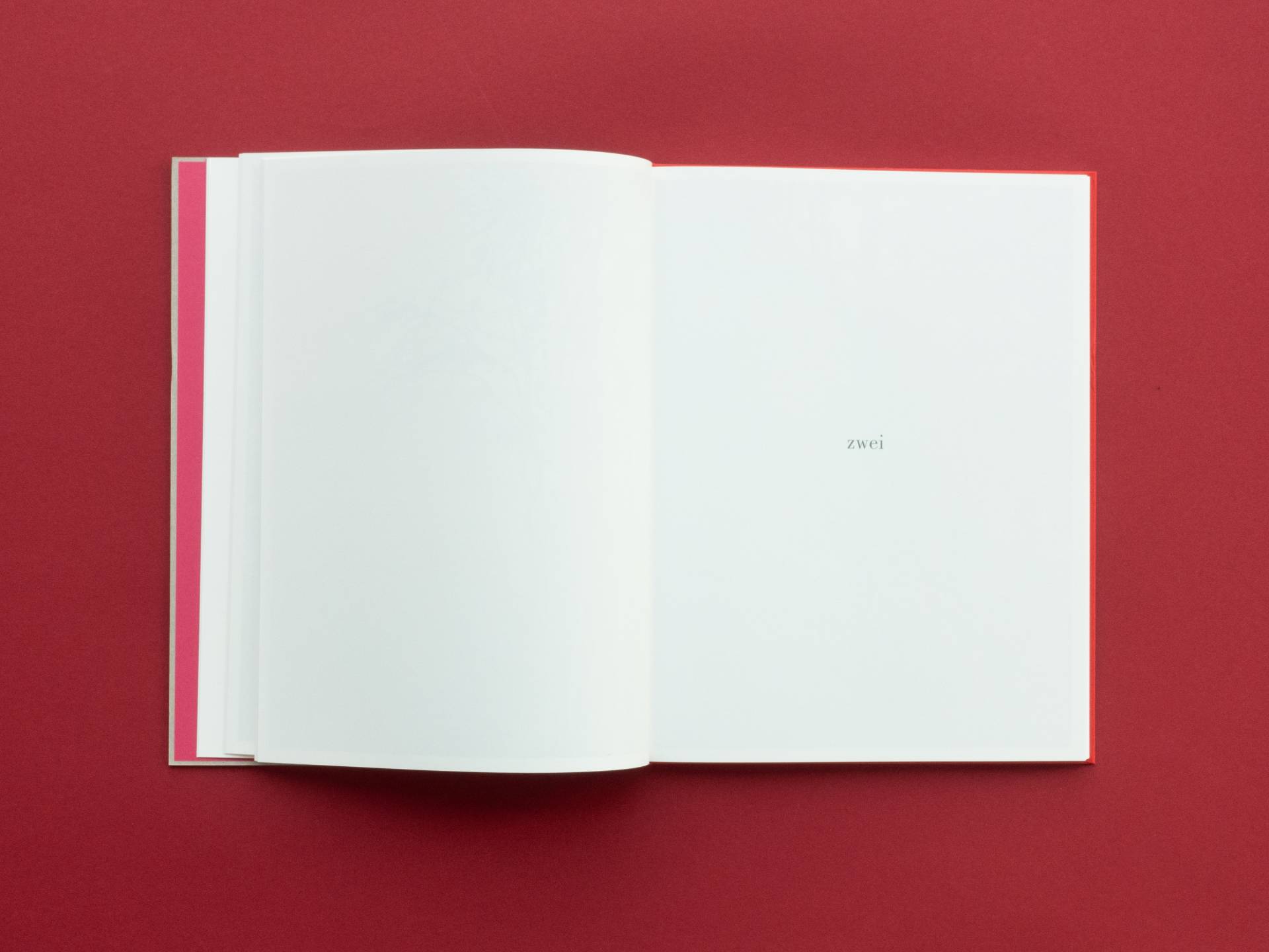 graubaum_und_himmelmeer_loredana_nemes__8