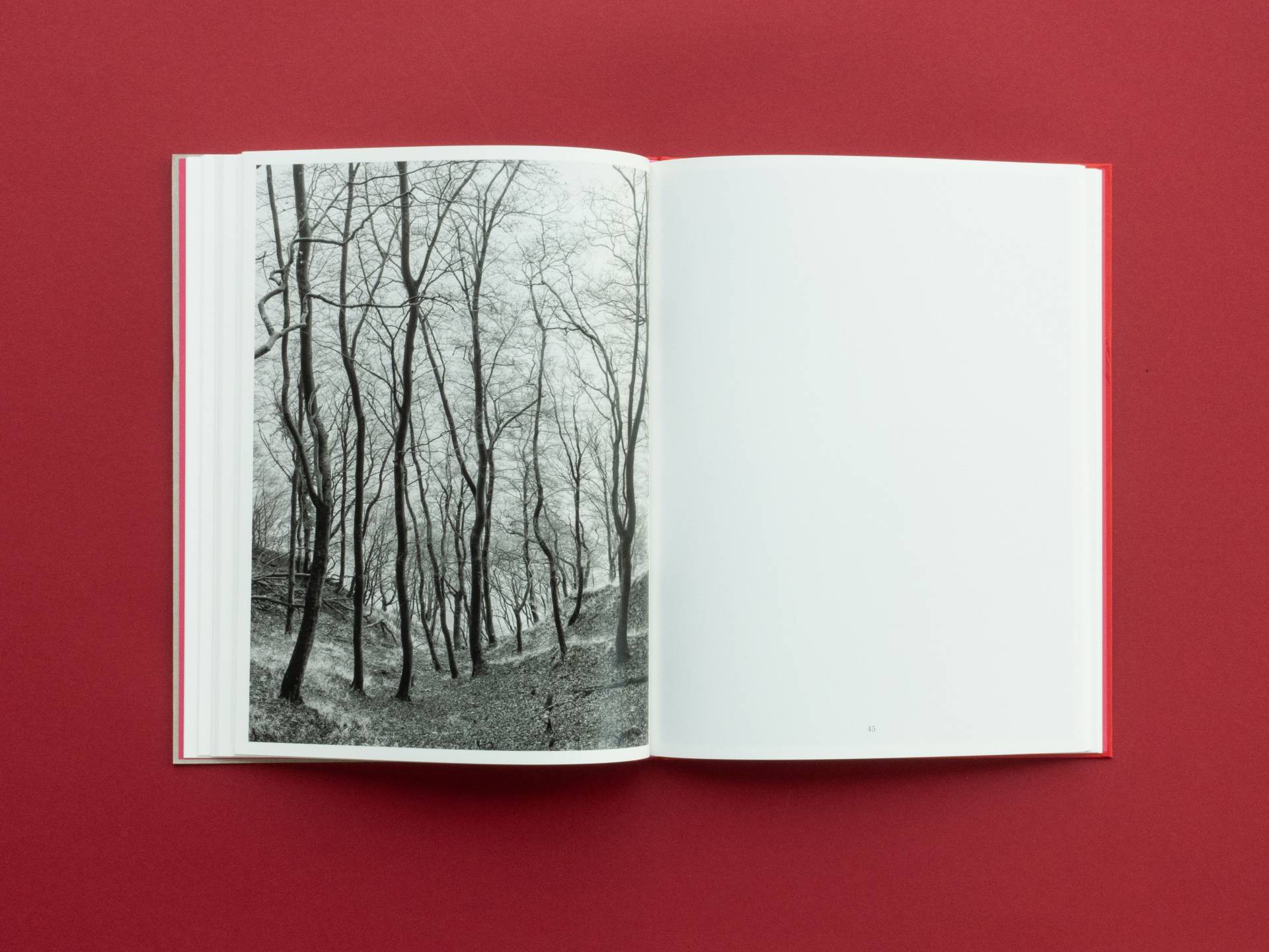 graubaum_und_himmelmeer_loredana_nemes__11