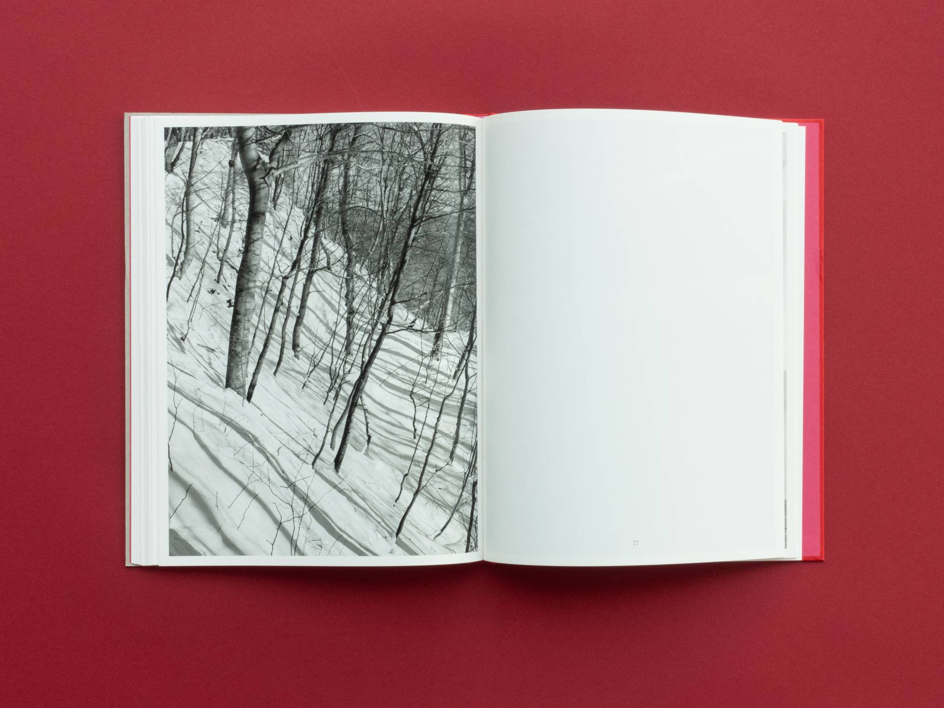 graubaum_und_himmelmeer_loredana_nemes__16