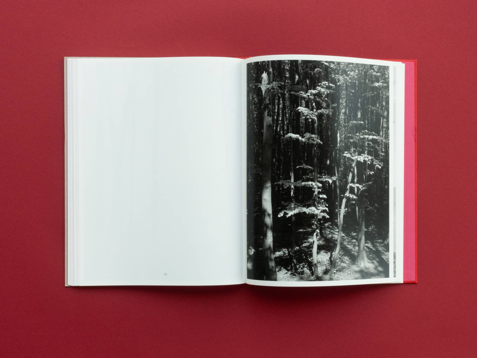 graubaum_und_himmelmeer_loredana_nemes__18