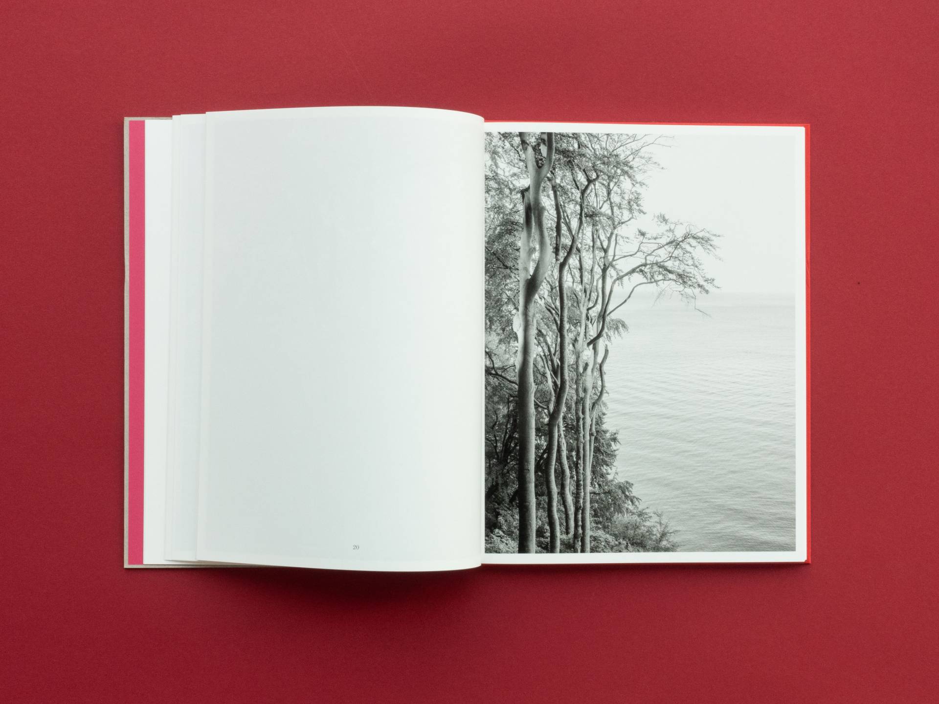 graubaum_und_himmelmeer_loredana_nemes__7