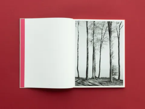 graubaum_und_himmelmeer_loredana_nemes__3