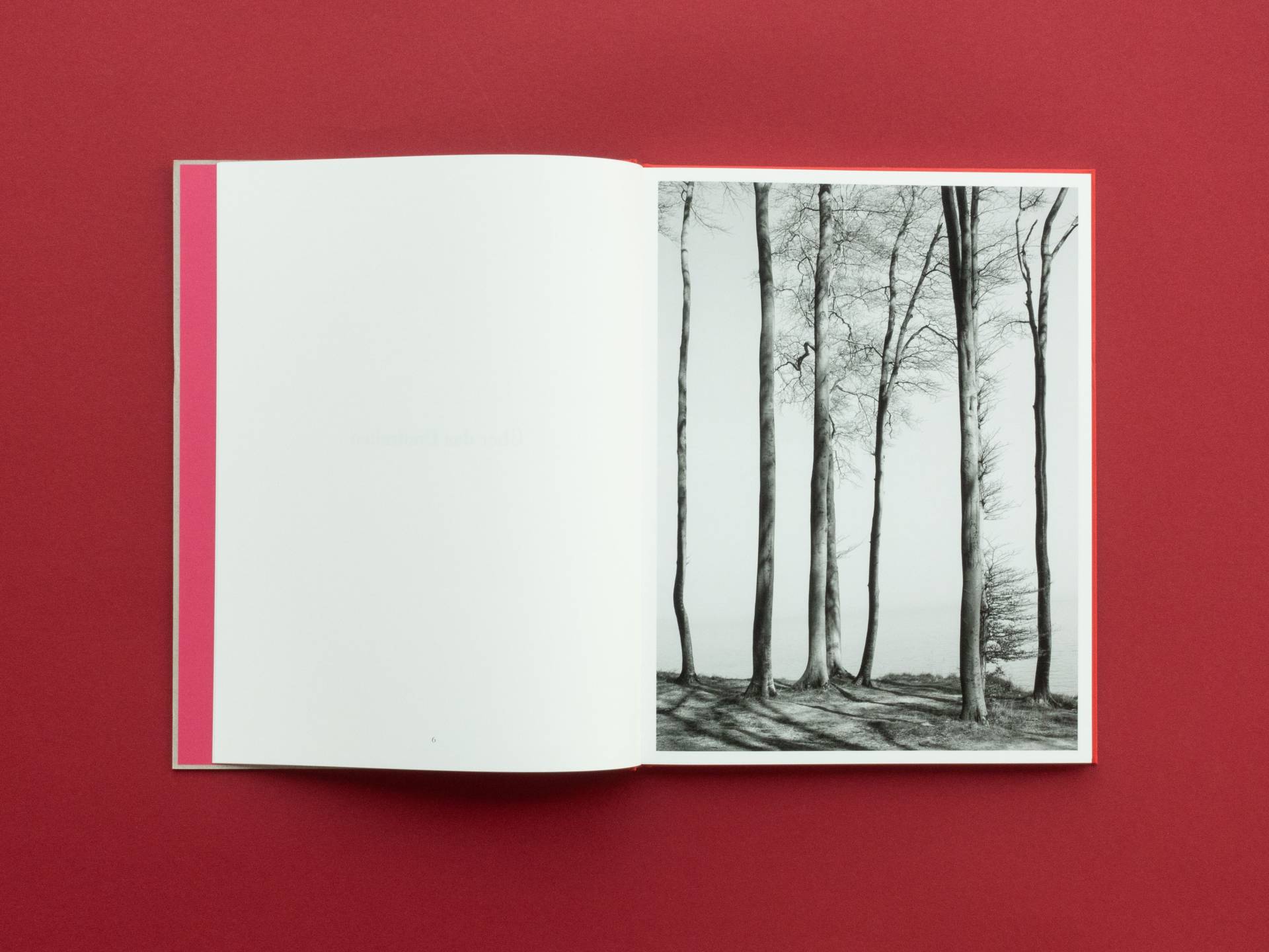 graubaum_und_himmelmeer_loredana_nemes__3