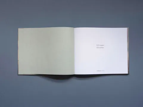 sylvie_leblanc_h2o-scapes_1