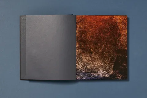 ramirez_joe-gold_projections_04