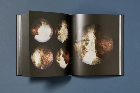 ramirez_joe-gold_projections_12