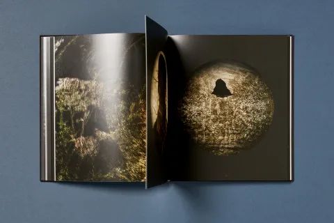 ramirez_joe-gold_projections_10