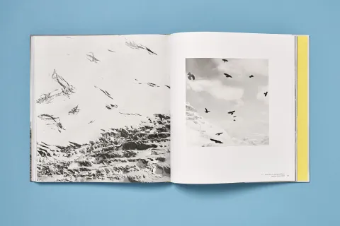 mathis_peter-berge_16