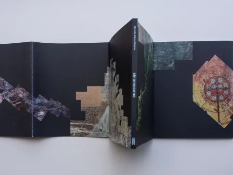 sinomocene_monteleone_