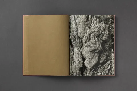 loredana_nemes_immergruen_01