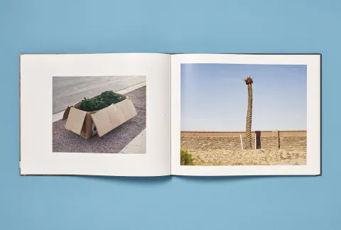 phelps_andrew-haboob_10